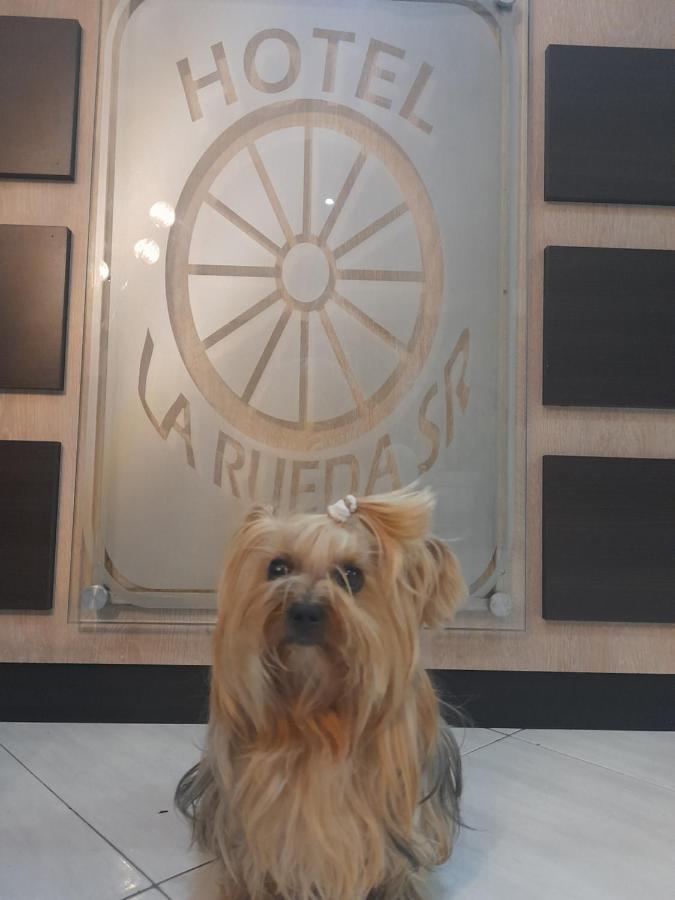 Hotel La Rueda Sr 바르보사 외부 사진